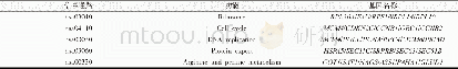表3 基因差异表达参与的信号通路