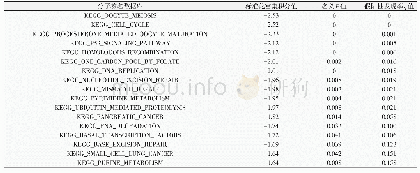 表4 KEGG信号通路富集分析