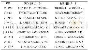表3 多态SSR标记名称及序列