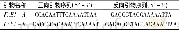 表1 引物序列：栽培种花生FAE1基因的克隆和序列分析