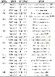 表3 花生响应盐胁迫诱导表达重要转录因子