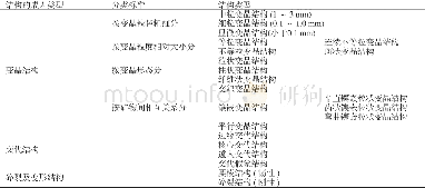 表3 翡翠结构的分类[19]Table 3 Classification of jade textures[19]