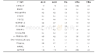 表9 标准化处理后的评价指标分值一览表