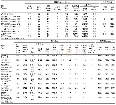 表5 不同淮山品种地上部农艺性状比较