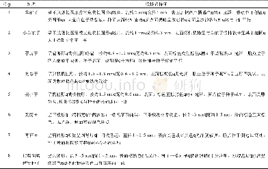 《表2 车前子真伪品微性状主要鉴别点》