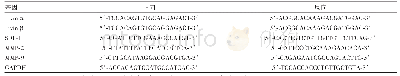 表2 肺癌组织聚合酶链式反应（PCR）引物列表
