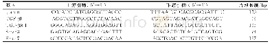 表1 引物序列：芪贞降糖颗粒对糖尿病肾病大鼠TGF-β1/Smad信号通路的调控作用