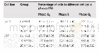 表4 硼替佐米处理后细胞周期改变