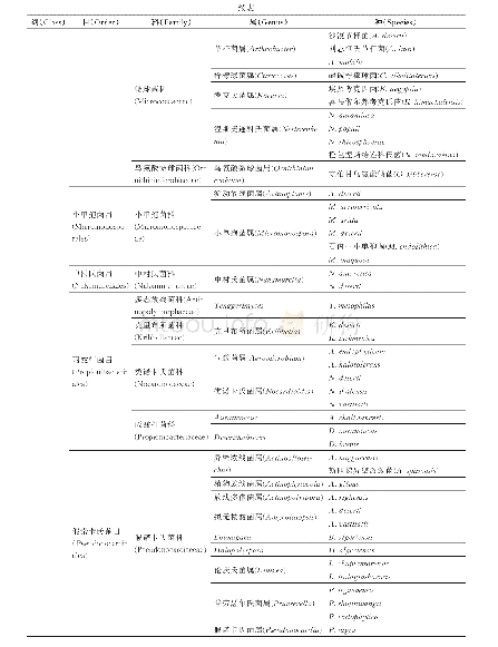 表2 已发表荒漠放线菌新物种分类情况（2000―2020)