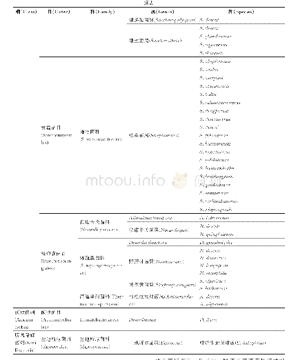 表2 已发表荒漠放线菌新物种分类情况（2000―2020)