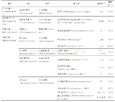 表2 恰玛古内生放线菌16S r DNA序列BLAST比对结果