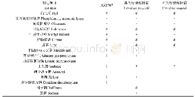 表1 菌AX1707与标准菌株的生理生化特征比较