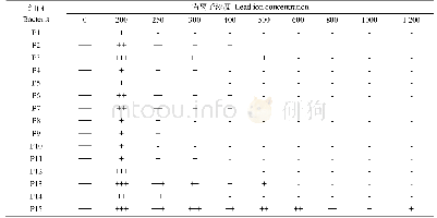 表1 筛选出的菌株对铅离子含量的耐受情况
