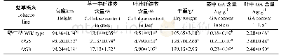 《表2 ZmGID1a转基因烟草生理指标分析》