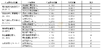 表4 各指标权重及重要性排序