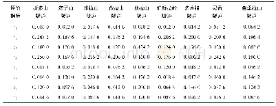 表5 川藏铁路重点隧道工程主观赋权结果
