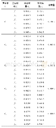 表3 风险因素的组合权重及序参量