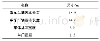 表2 中低速磁浮车辆技术标准