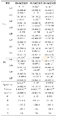 表3 空间杜宾模型估计结果