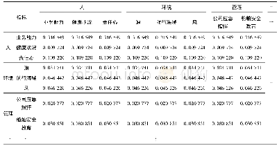 表5 极限超矩阵L：基于DEMATEL-ANP的重大件船舶大风浪航行安全指标选取