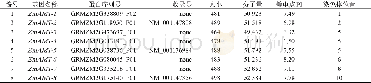 表1 玉米AMT基因及蛋白信息