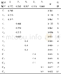 表6 最终权重计算结果及排序Table 6 Final weight calculation results and sorting