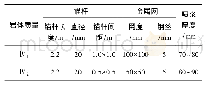 表9 Ⅳ级岩体支护参数表