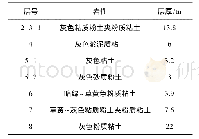 表1 盾构穿越位置各地层介绍