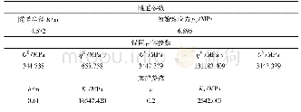 表2 隧道几何参数、围岩和支护力学参数