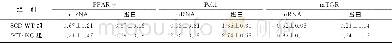 《表2 两组小鼠胰腺组织PPAR-γ、Pck1、mTOR mRNA及蛋白表达比较 (n=7, ±s)》