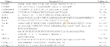 表1 PCR扩增引物：人肠道病毒D68型微复制子的建立