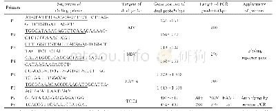 表1 双探针、标记引物和检测引物序列及特性