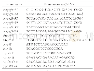 表1 靶向meq基因的gRNA及用于马立克病病毒（MDV）突变体鉴定的引物序列表