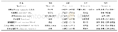 《表1 母本性状特征：新疆野生蔷薇与现代月季品种杂交亲和性研究》