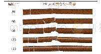 表1 0 250μs时刻动态钨合金杆形态