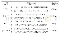 表2 Q-PCR所用引物序列