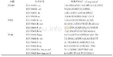 表1 HCV NS3/4A、NS5A、NS5B区扩增和测序引物