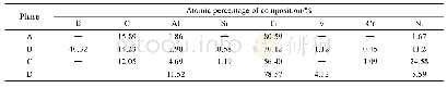 表3 各物相的EDS化学成分分析结果
