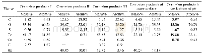 表2 各类腐蚀产物能谱分析结果