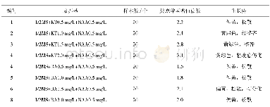 《表3 不同浓度植物生长调节剂对铁皮石斛类原球茎继代增殖的影响》