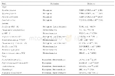 表1 不同微生物及其修复Cr(Ⅵ)的机制