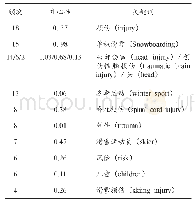 表2 国外雪上运动损伤研究高频关键词及中心度