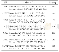 表1 引物序列表：二陈汤合桃红四物汤调控p53/SLC7A11介导的氧化损伤及铁死亡抗动脉粥样硬化的作用及机制研究