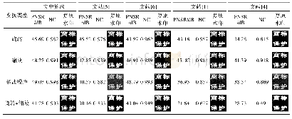 表3 5种算法的鲁棒性测试结果Tab.3 Robustness test results of five algorithms