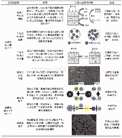 《表2 无机抗菌剂的种类、特点以及作用机理》