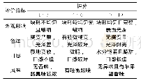 表1 鲜切苹果感官评分标准