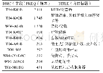 表4 Timezone图谱排名前十的手工代码