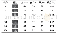 《表1 航空行李试验数据》