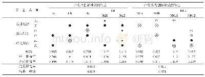 表3 产生高创新绩效与非高创新绩效的组态构型