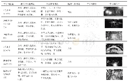 表1 隧道开挖揭示围岩地质情况